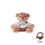 Personalizirani Plišani medo Doktor